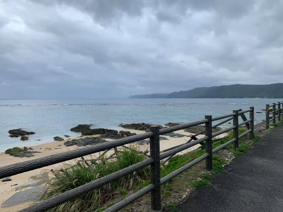 奄美大島に初上陸